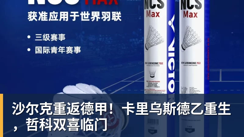 沙尔克重返德甲！卡里乌斯德乙重生，哲科双喜临门